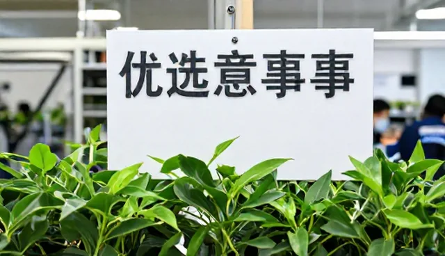 驾驶安全与装饰改装的配套关系及适用情况